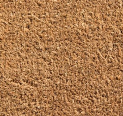 Coir Coconut